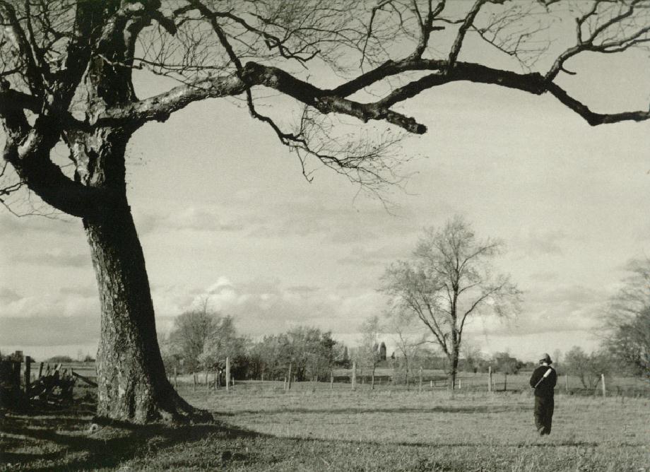 Autumn Walking.jpg 111.9K