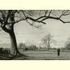 Autumn Walking.jpg 111.9K