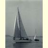 Carefree Sails.jpg 1607.3K