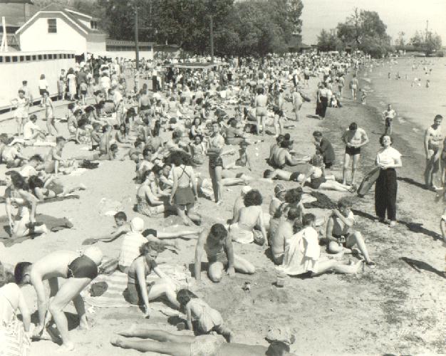 Dover Beach.jpg 81.1K