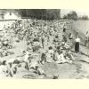 Dover Beach.jpg 81.1K