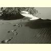 Dune Trail.jpg 71.6K