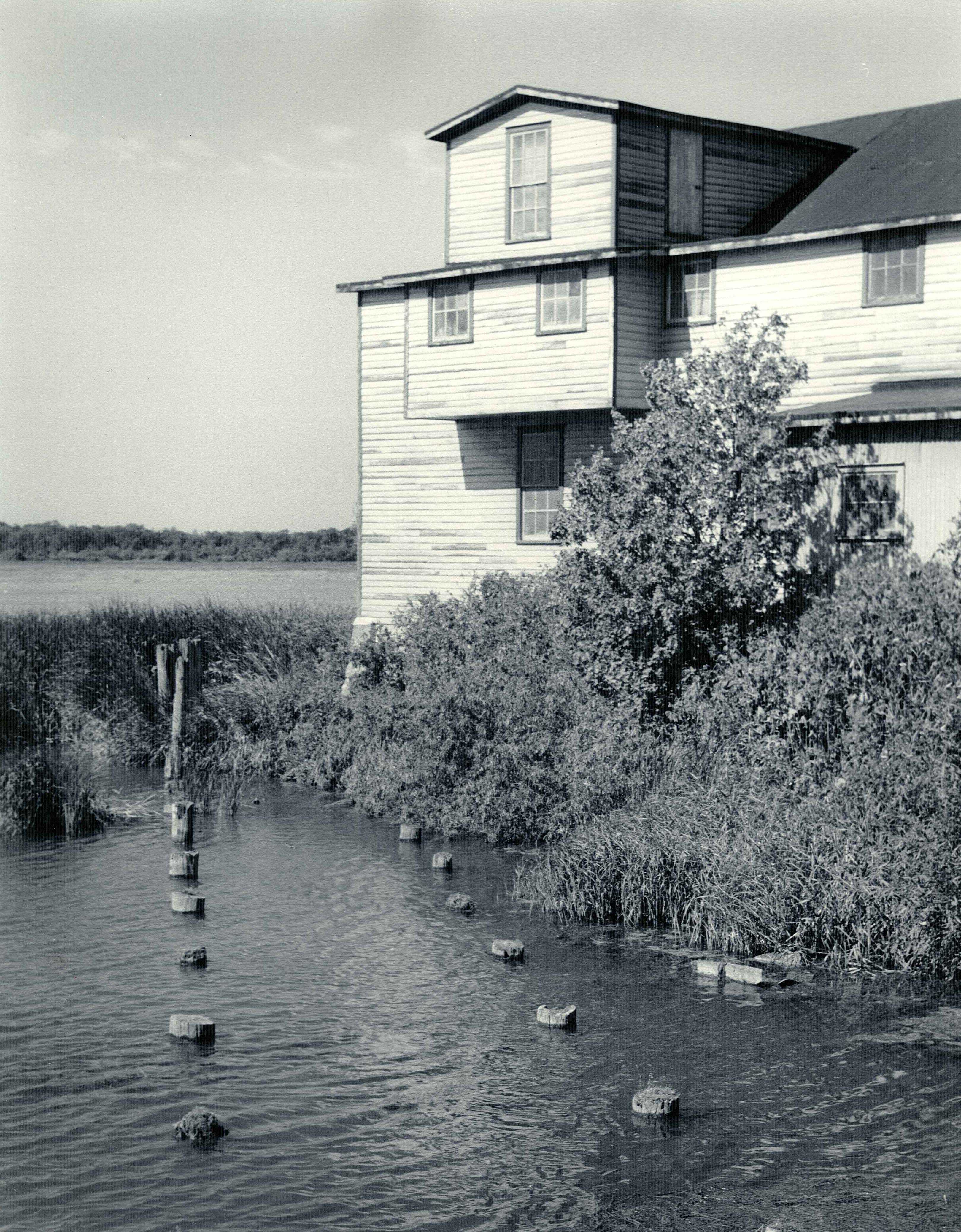 Long Point Cottages.jpg 1569.0K
