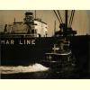 Marline.jpg 1388.3K