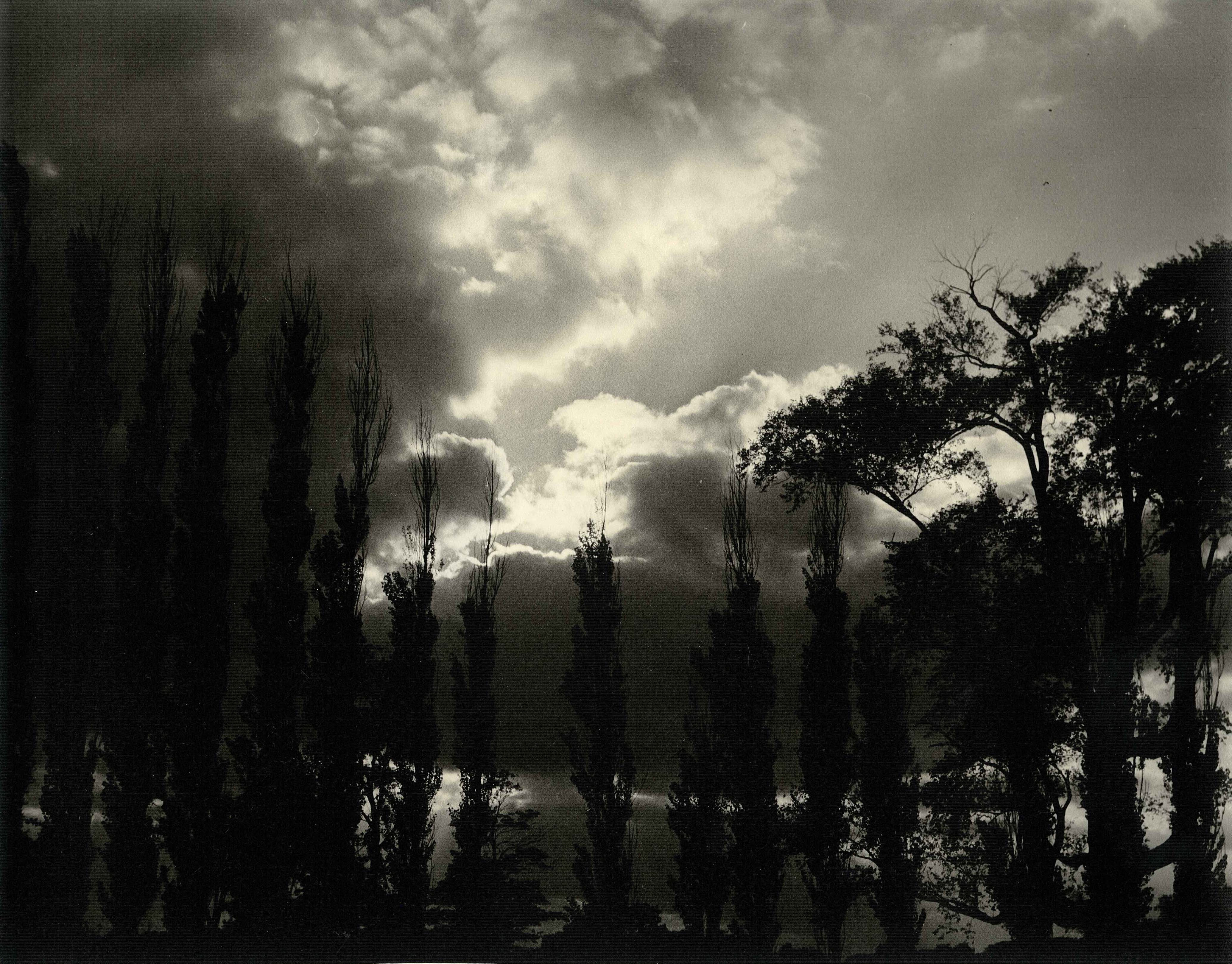 Ring of Trees.jpg 1400.9K