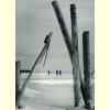 Skating on Lake Erie.jpg 44.2K