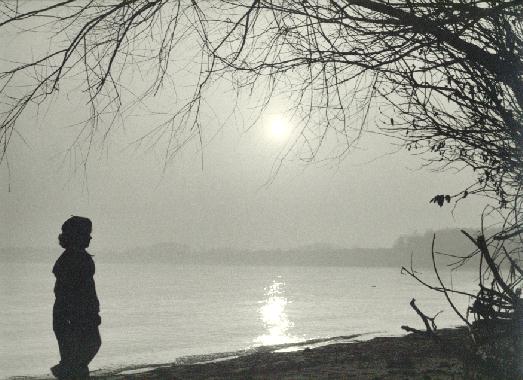 Solitude.jpg 51.9K