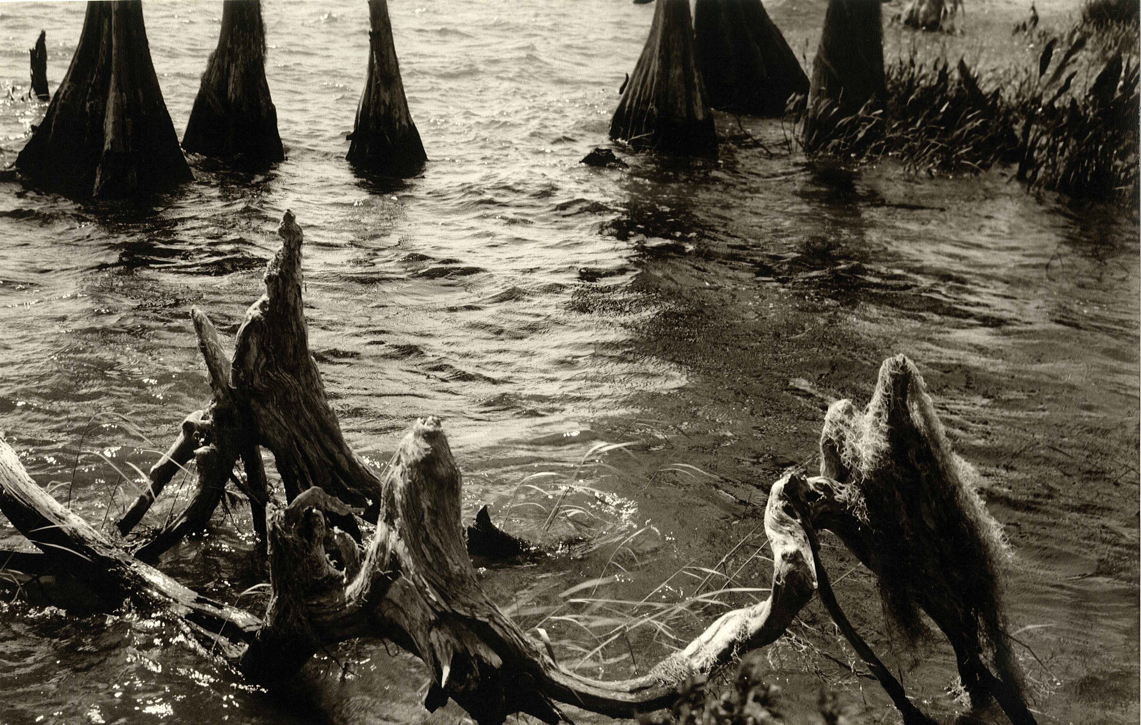 Swamp Circle.jpg 1373.1K
