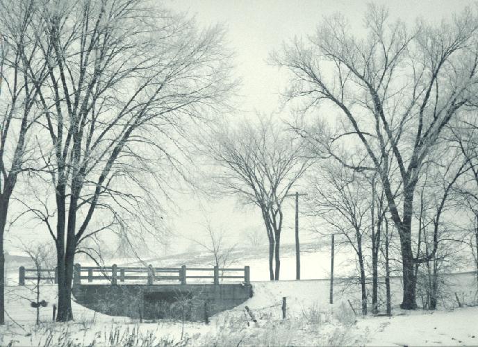 Winter Bridge.jpg 92.7K