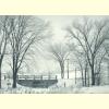 Winter Bridge.jpg 92.7K
