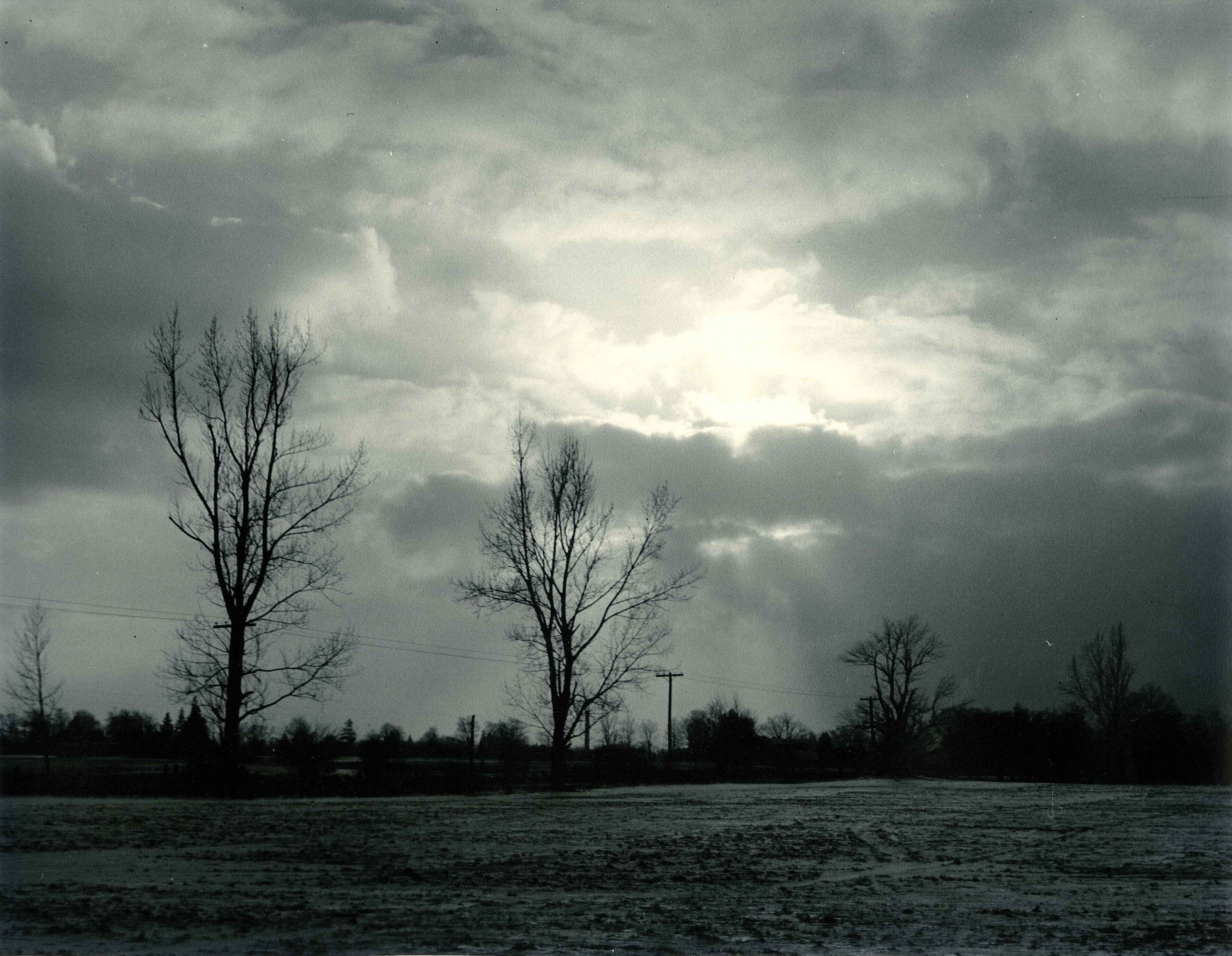 Winter Scene.jpg 1396.8K