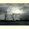 Winter Scene.jpg 1396.8K