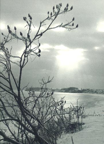 Winter Sunset.jpg 55.7K